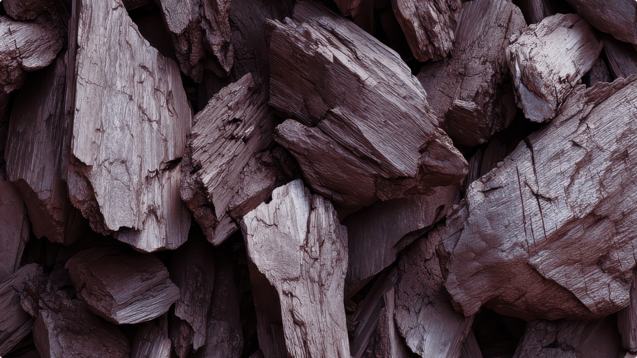 Crafting the Brand Identity and Digital Launch for Sow & Reap's Chara'